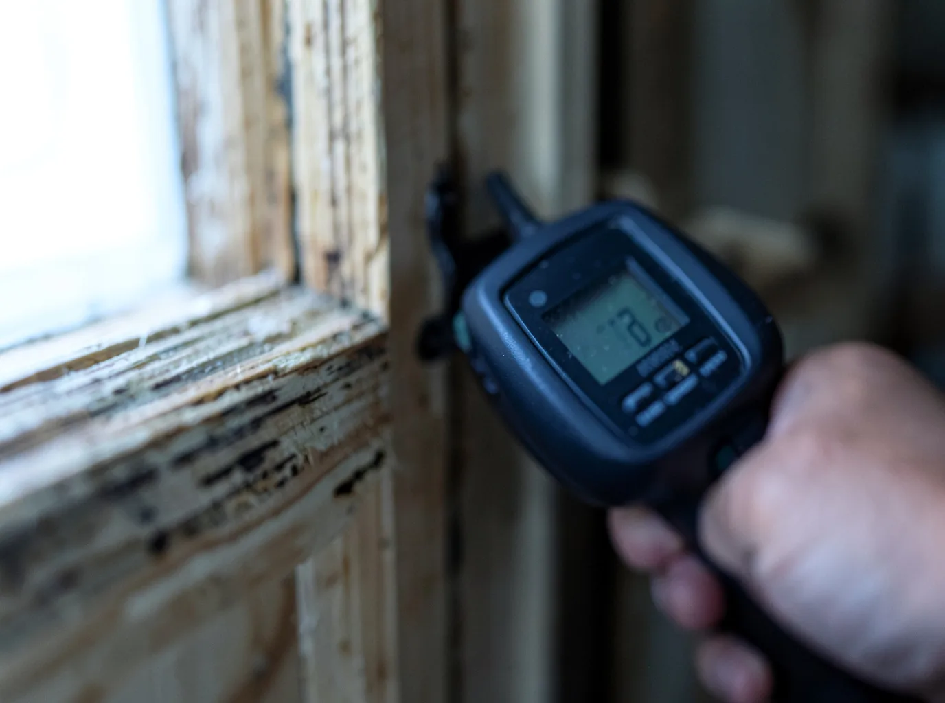 Moisture Inspection And Documentation in Darden, TN